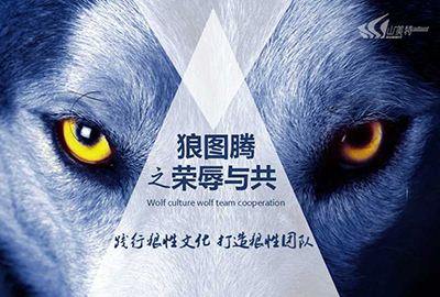 打造狼性团队