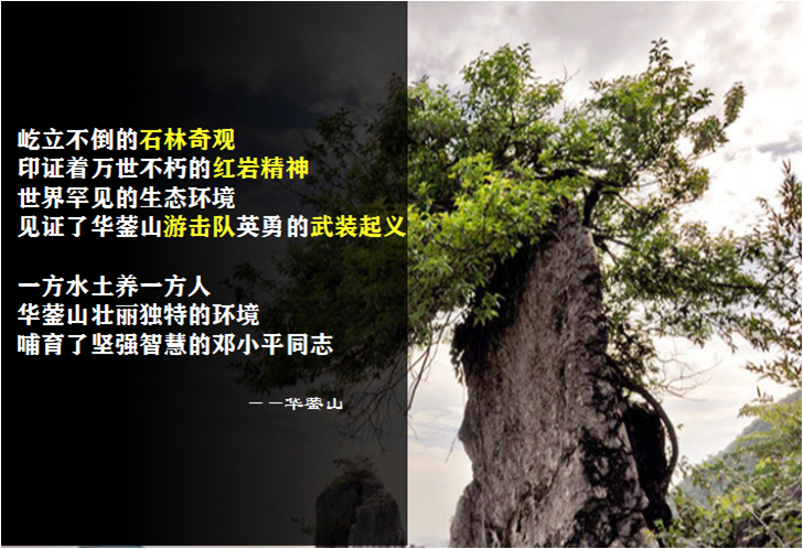 图片16.png