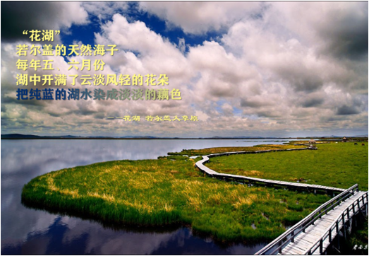 图片11.png