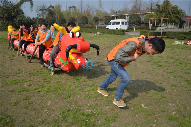 1556527492267657.jpg DSC_0104.jpg