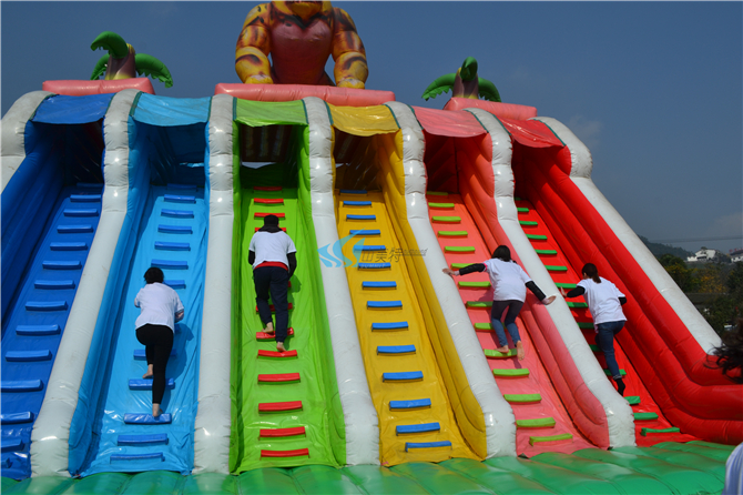 1556529254181335.jpg DSC_0348.jpg