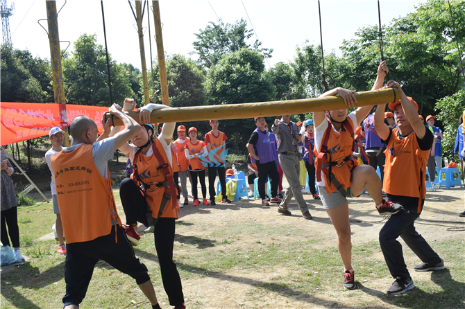 1557045090847640.jpg DSC_0069.jpg