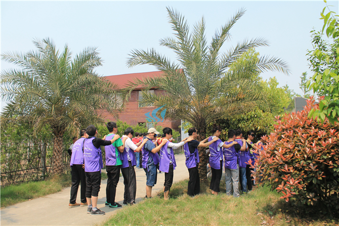 1557046255929486.jpg IMG_4136.jpg