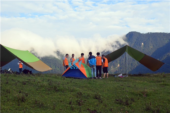 1558494347103921.jpg DSC_0219.jpg