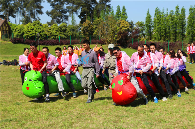 1558494408650167.jpg IMG_2595.jpg