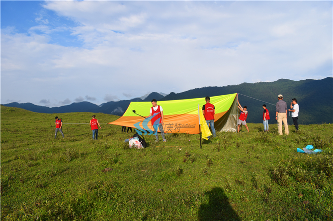 1558688531191276.jpg DSC_0189.jpg