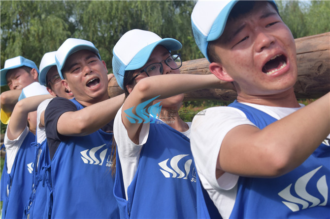 1559553807517715.jpg DSC_0249.jpg