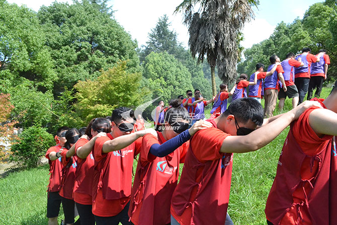 1564112557845144.jpg DSC_0256.jpg